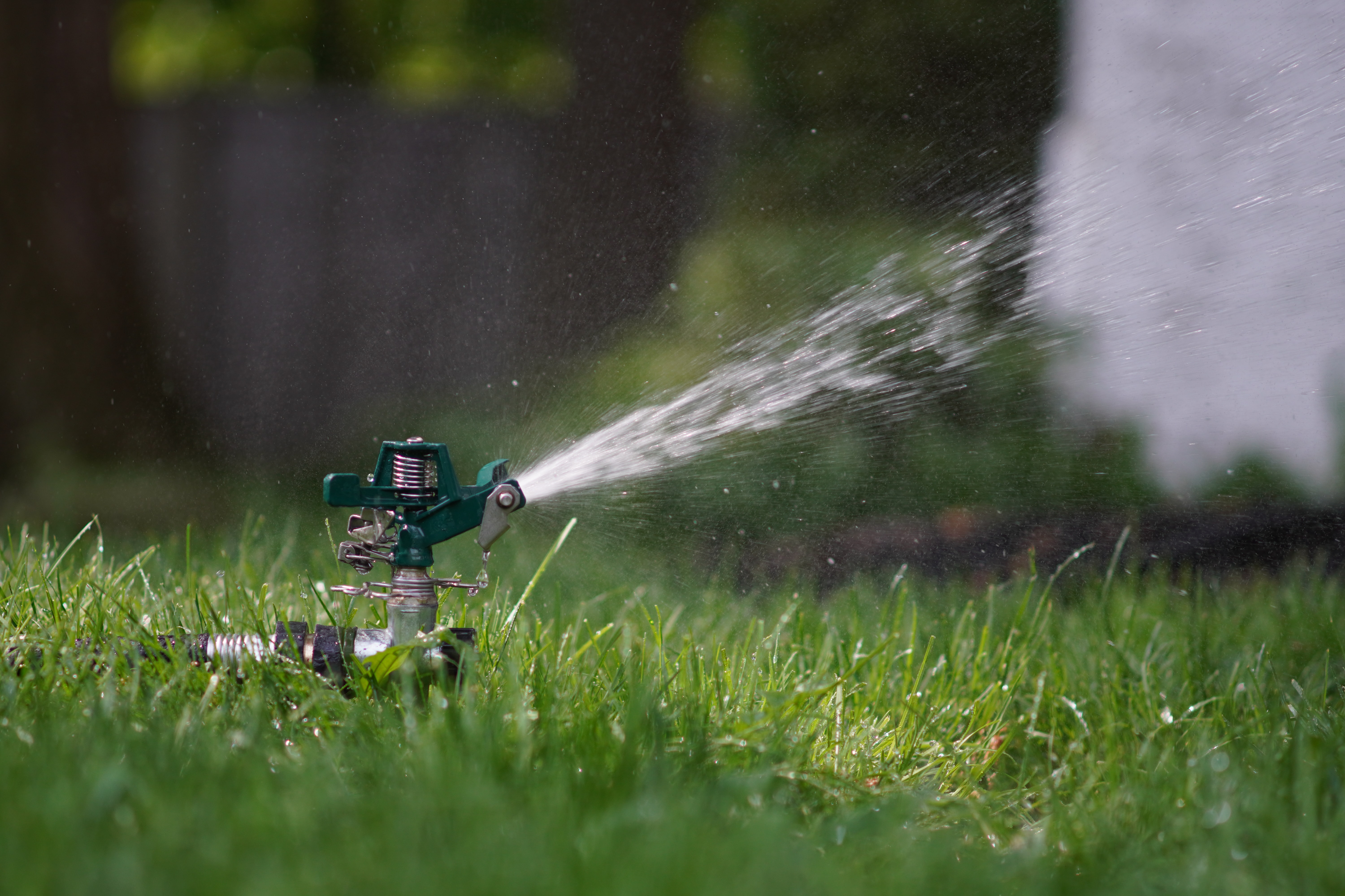 adjust sprinkler heads to avoid misdirected or excessive watering