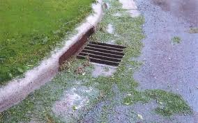 grass clippings, leaves and other lawn debris can clog storm drains and pollute waterways